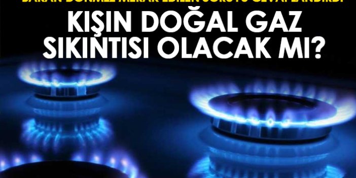 Bakan Dönmez'den doğal gaz açıklaması! Kışın sıkıntı yaşamayacağız