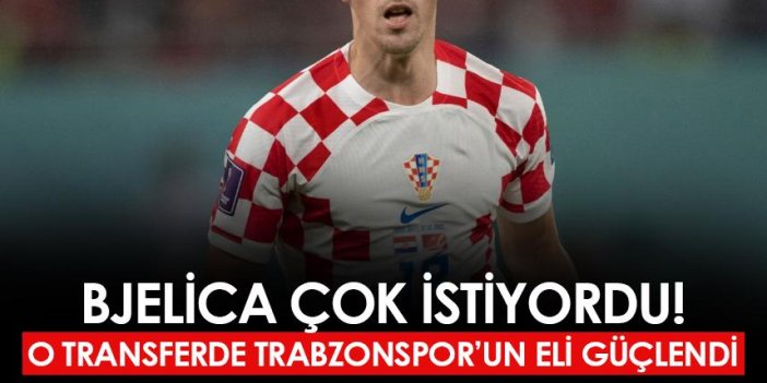 Bjelica çok istiyordu! O transferde Trabzonspor'un eli güçlendi