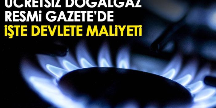 Ücretsiz doğalgaz kararı Resmi Gazete'de! İşte devlete maliyeti