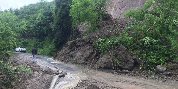 Ordu'da 2 günde 94 noktada heyelan