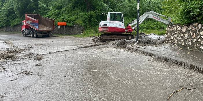 Ordu'da yağış sonrası dereler taştı