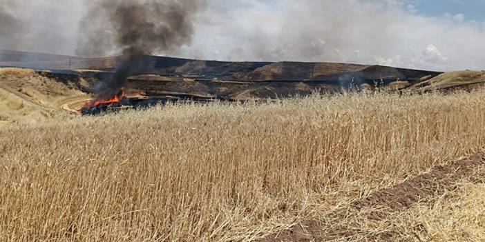 Diyarbakır'da arazi anlaşmazlığı kavgası! 8 ölü, 3 yaralı