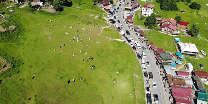 Rize'de Ayder'e 100 bine yakın turist