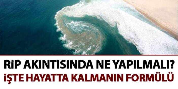 RİP akıntısında ne yapılmalı? İşte hayatta kalmanın formülü