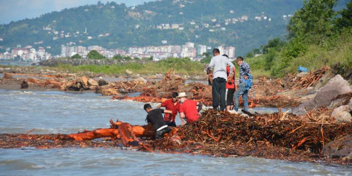 Giresun'da vatandaşlar derelerden denize sürüklenen odunları topladı