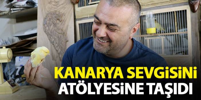 Trabzonlu maket ustası kanarya sevgisini atölyesine taşıdı