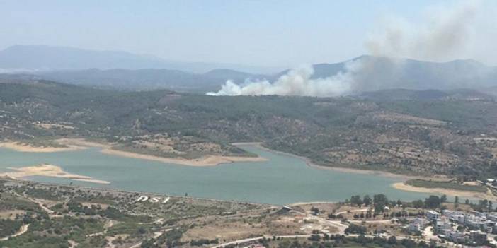 Muğla'nın Milas ilçesinde orman yangını çıktı