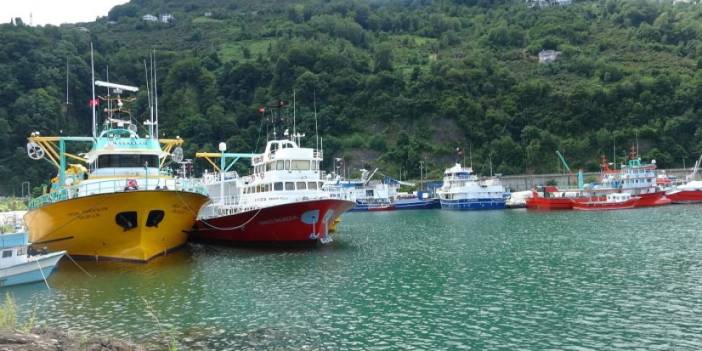 Trabzon'da balık avı yasağı ne zaman sona eriyor? İşte o tarih