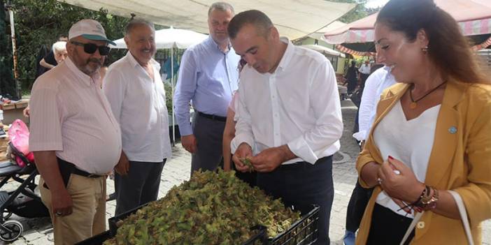 Trabzon Milletvekili Yavuz Aydın'dan Bakana Trabzon eleştirisi! "Fındık üreticisi sahipsiz kaldı"