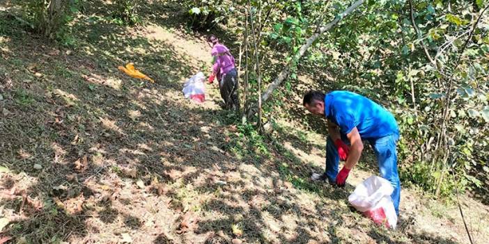 Ordu'da fındık üreticilerinin sıcakla imtihanı