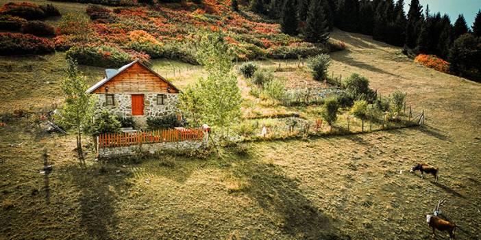 Giresun yaylalarında sonbahar güzelliği