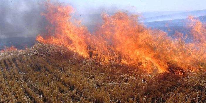 Bayburt'ta çiftçilere anız uyarısı! İşte anız yakmanın zararları