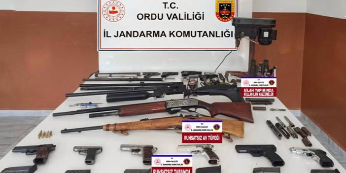 Ordu'da silah ve mühimmat kaçakçılığı operasyonu! 1 kişi tutuklandı