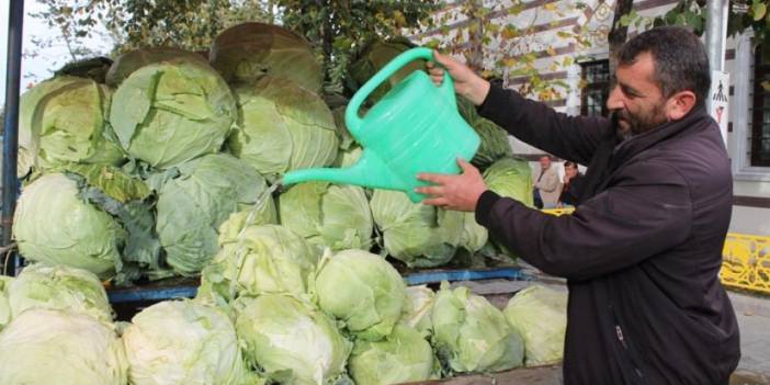 Bayburt'ta organik lahanalar tezgahta yerini aldı