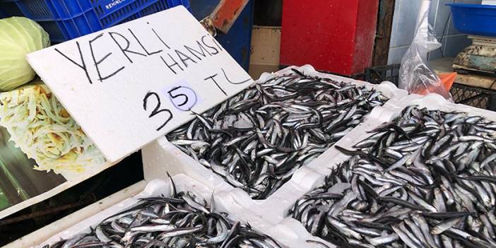 Rize'de hamsi fiyatları ne kadar? Karadeniz'de hamsi bolluğu