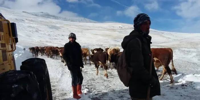 Bayburt'ta besicilerin karlı dağlardan zorlu dönüş mesaisi