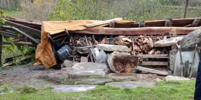 Karadeniz ilinde rüzgar etkili oldu: Çöken ambar can aldı