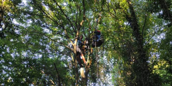 Samsun'da ağaca takılan paraşütçünün yardımına itfaiye ekipleri yetişti
