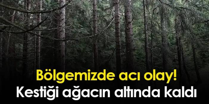 Bölgemizde acı olay! Kestiği ağacın altında kaldı