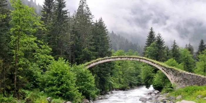 Küresel iklim krizine 'ekolojik günah' vurgusu