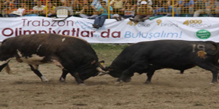 Kafkasör'de Trabzon 2011 tanıtımı