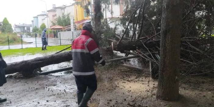 Ordu'da fırtına etkili oldu: Hasar tespiti başladı