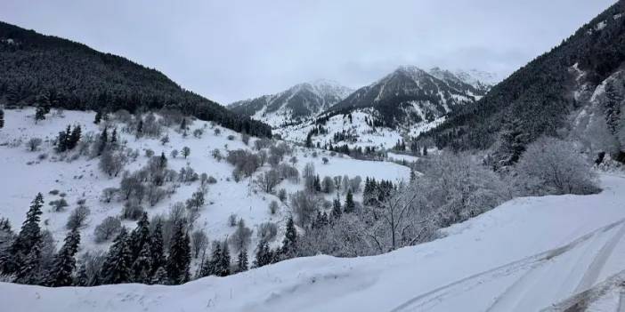 Karadeniz illerinde kar yağışı! Artvin ve Gümüşhane beyaza büründü