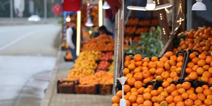 Rize'nin Derepazarı mandalinasında hasat iyi, satışlar düşük