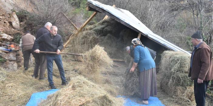 Artvin'de heyelanda ağır çöktü! İki büyükbaş telef oldu