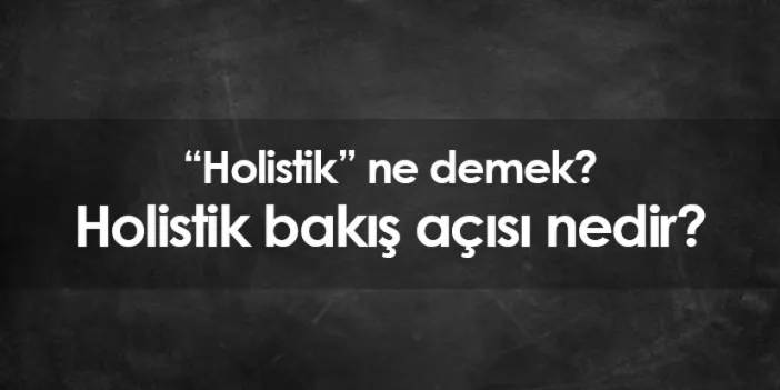 Holistik ne demek? Holistik bakış açısı nedir?