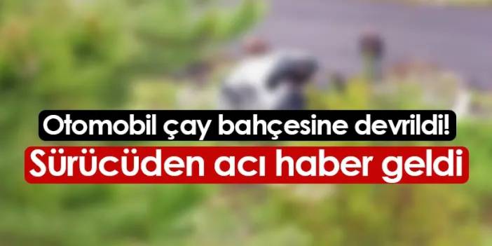 Otomobil çay bahçesine devrildi: Sürücü hayatını kaybetti