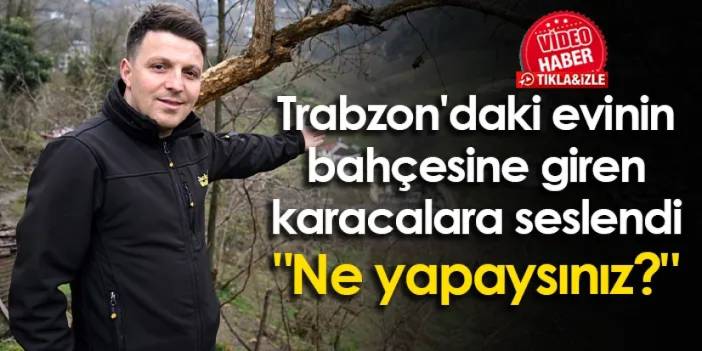 Trabzon'daki evinin bahçesine giren karacalara seslendi "Ne yapaysınız?"