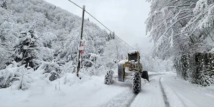 Meteoroloji'den Doğu Karadeniz'e kar uyarısı! Akşam saatlerinden sonra...