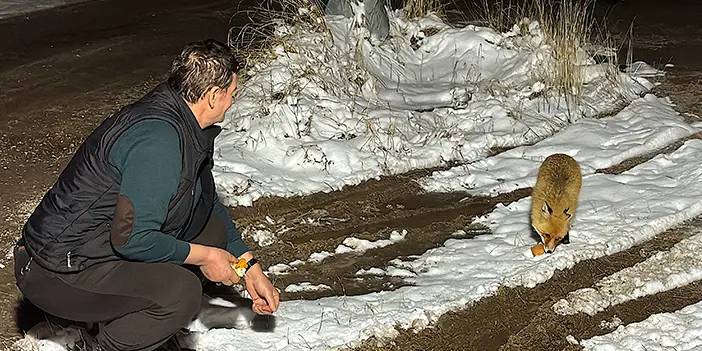 Bekçi ve tilkinin dostluğu  görenleri gülümsetti!