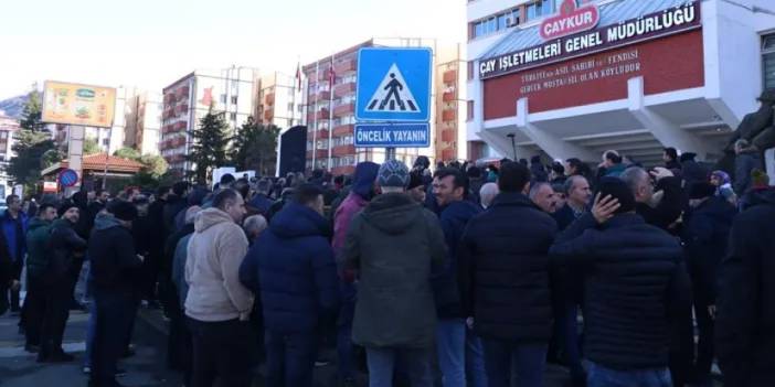 ÇAYKUR'da mevsimlik işçilerin isyanı! "Kendimizi ayı gibi hissediyoruz"