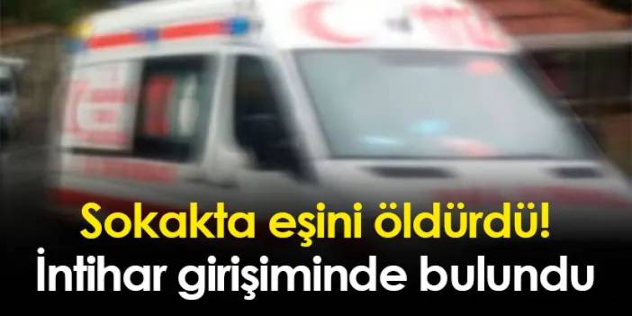 Sokakta eşini öldürdü! İntihar girişiminde bulundu