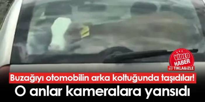 Buzağıyı otomobilin arka koltuğunda taşıdılar! O anlar kameralara yansıdı