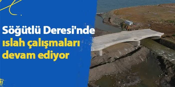 Söğütlü Deresi'nde ıslah çalışmaları sürüyor