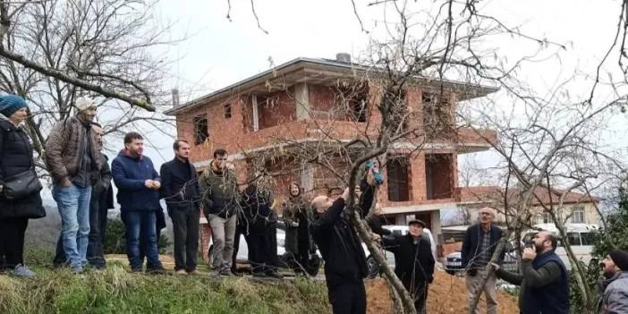 Giresun'da fındıkta verimi artırmak için uygulamalı bahçe kuruldu