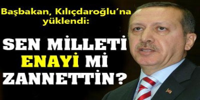 ''Sen milleti enayi mi zannettin''