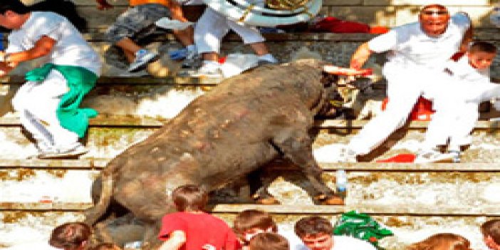 Kızgın boğa seyirciler arasına daldı