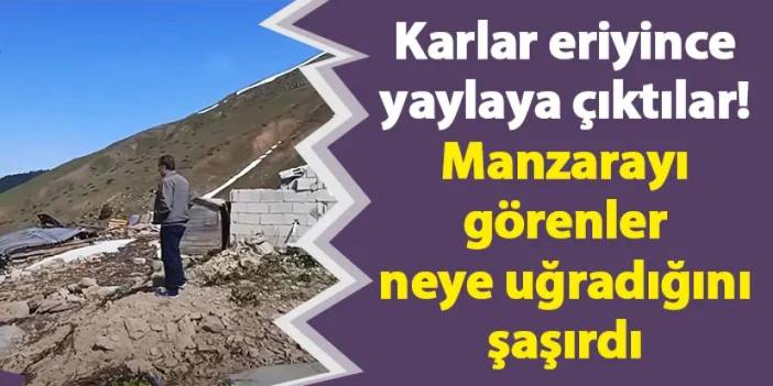 Artvin'de karlar eriyince yaylaya çıktılar! Manzarayı görenler neye uğradığını şaşırdı