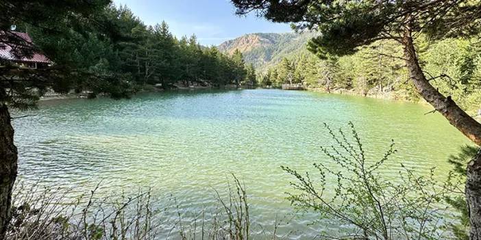 Havalar ısındı! Gümüşhane'de oraya akın ediyorlar