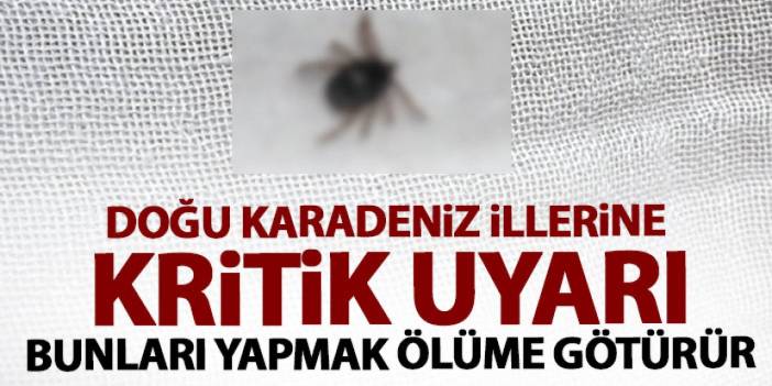 Giresun ve Gümüşhane'ye önemli uyarı! "Gördüğünüzde sakın bunları yapmayın"