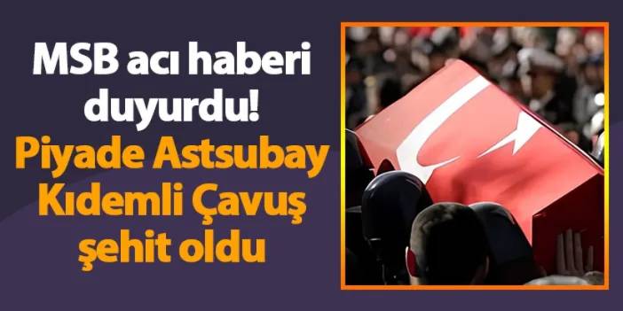 MSB acı haberi duyurdu! Piyade Astsubay Kıdemli Çavuş şehit oldu