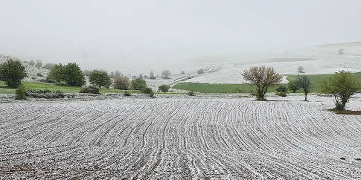 Bayburt, Gümüşhane ve Ordu Mayıs ayında beyaza büründü