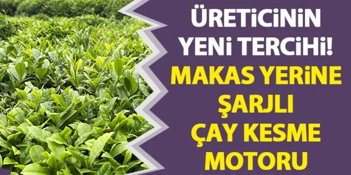 Rize'de üreticinin yeni tercihi! Çay makasları yerine şarjlı çay kesme motorları