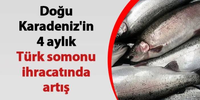 Doğu Karadeniz'in 4 aylık Türk somonu ihracatında artış! Çoğu Trabzon'dan