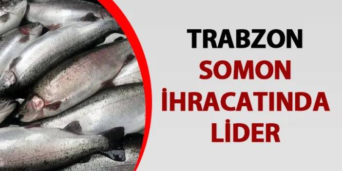 Doğu Karadeniz'de somon ihracatı! Bölge ihracatının yüzde 65'i Trabzon'dan