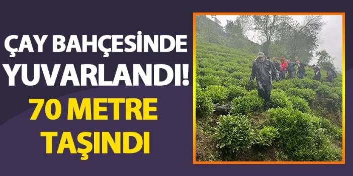 Rize'de çay bahçesinden yuvarlandı! 70 metre taşındı